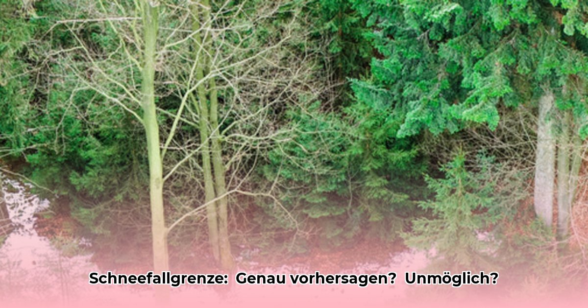 schneefallgrenze